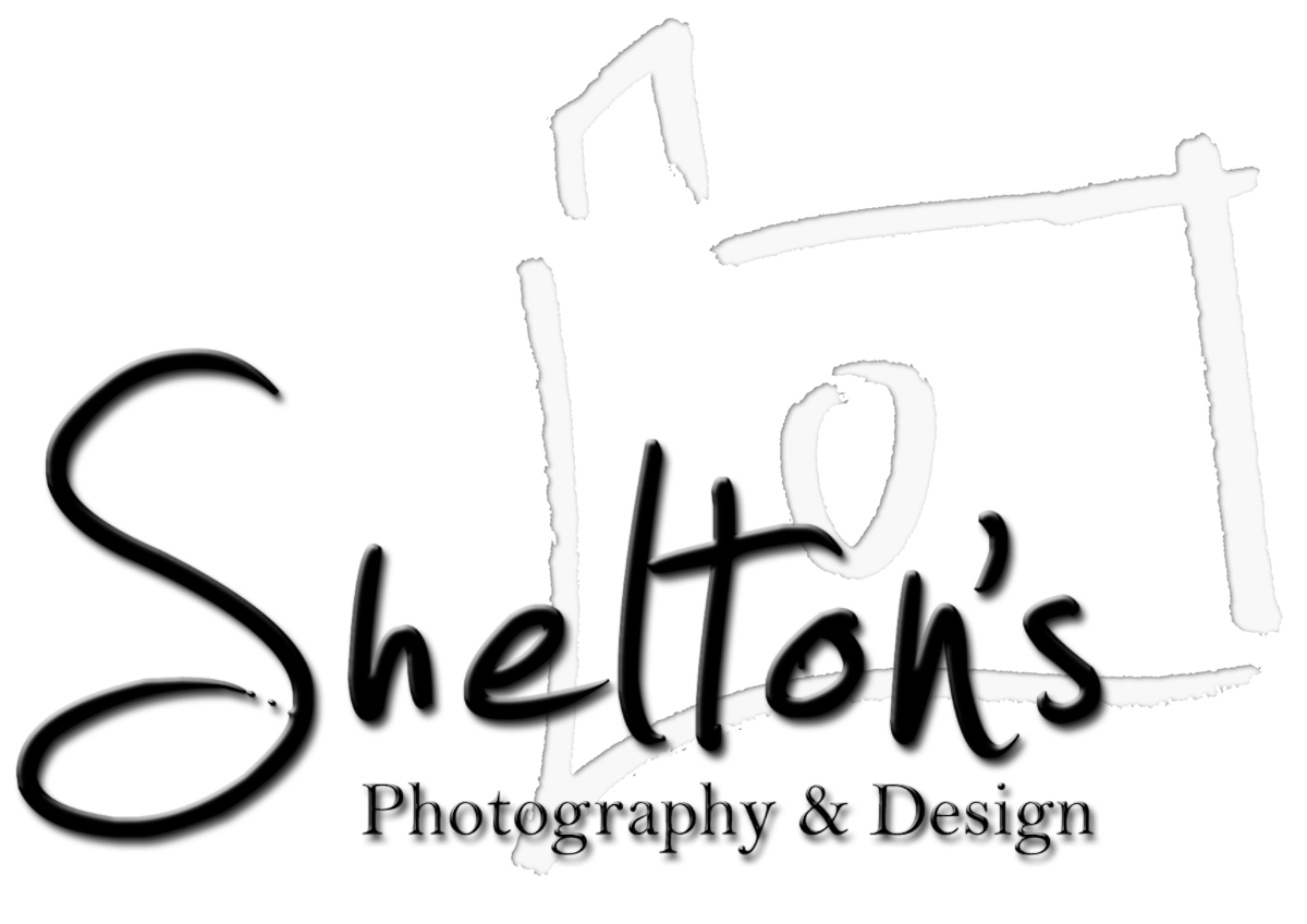 Shelton's Photography